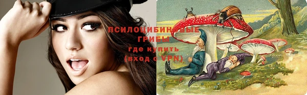 стаф Нефтекумск