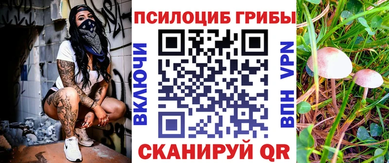 Псилоцибиновые грибы MAGIC MUSHROOMS  как найти закладки  сайты даркнета наркотические препараты  Железногорск 